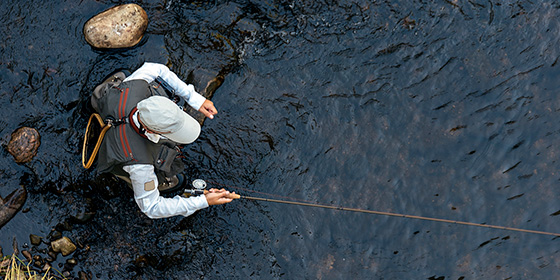 fishing-in-stream-email