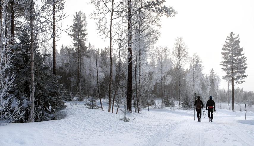December newsletter banner