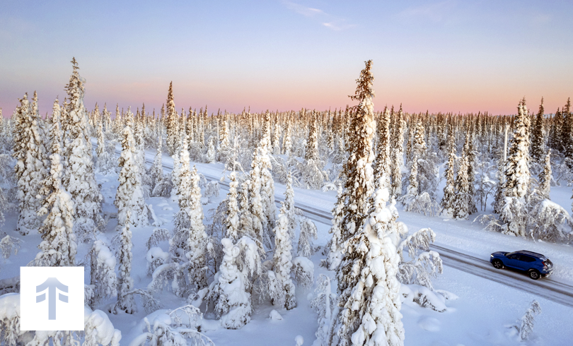 tamarack-newsletter-1224-1
