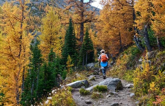 tamarack-october-hike-email