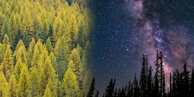 Tamarack.ai strategic shift banner