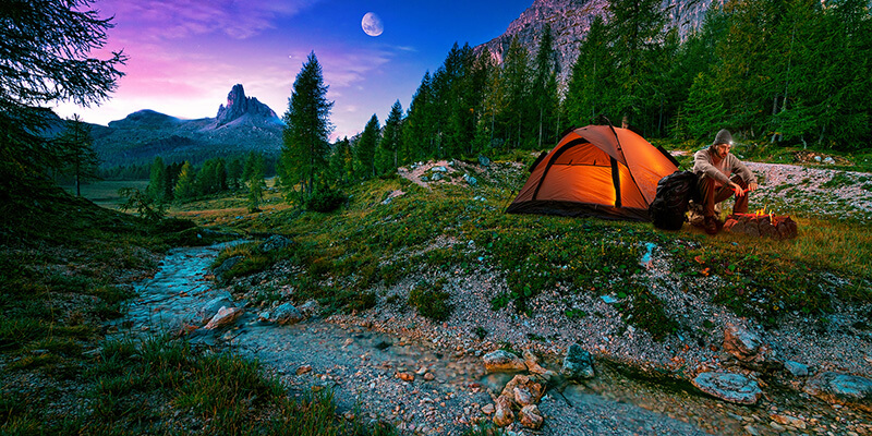 Trail Mix cover image