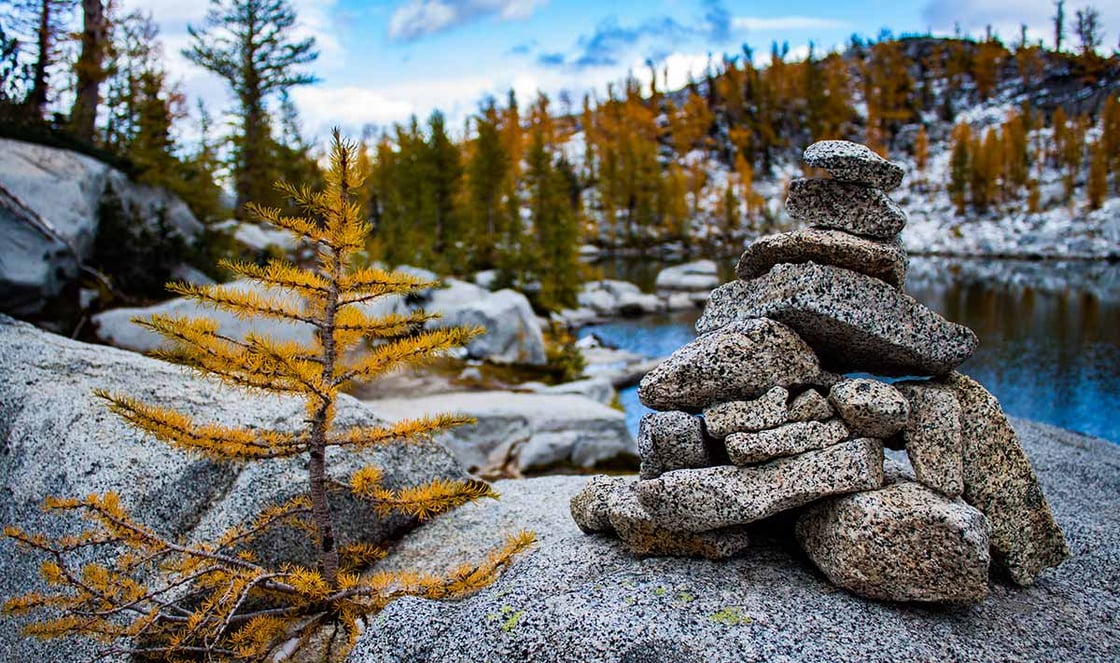 waypoint-reads-tamarack